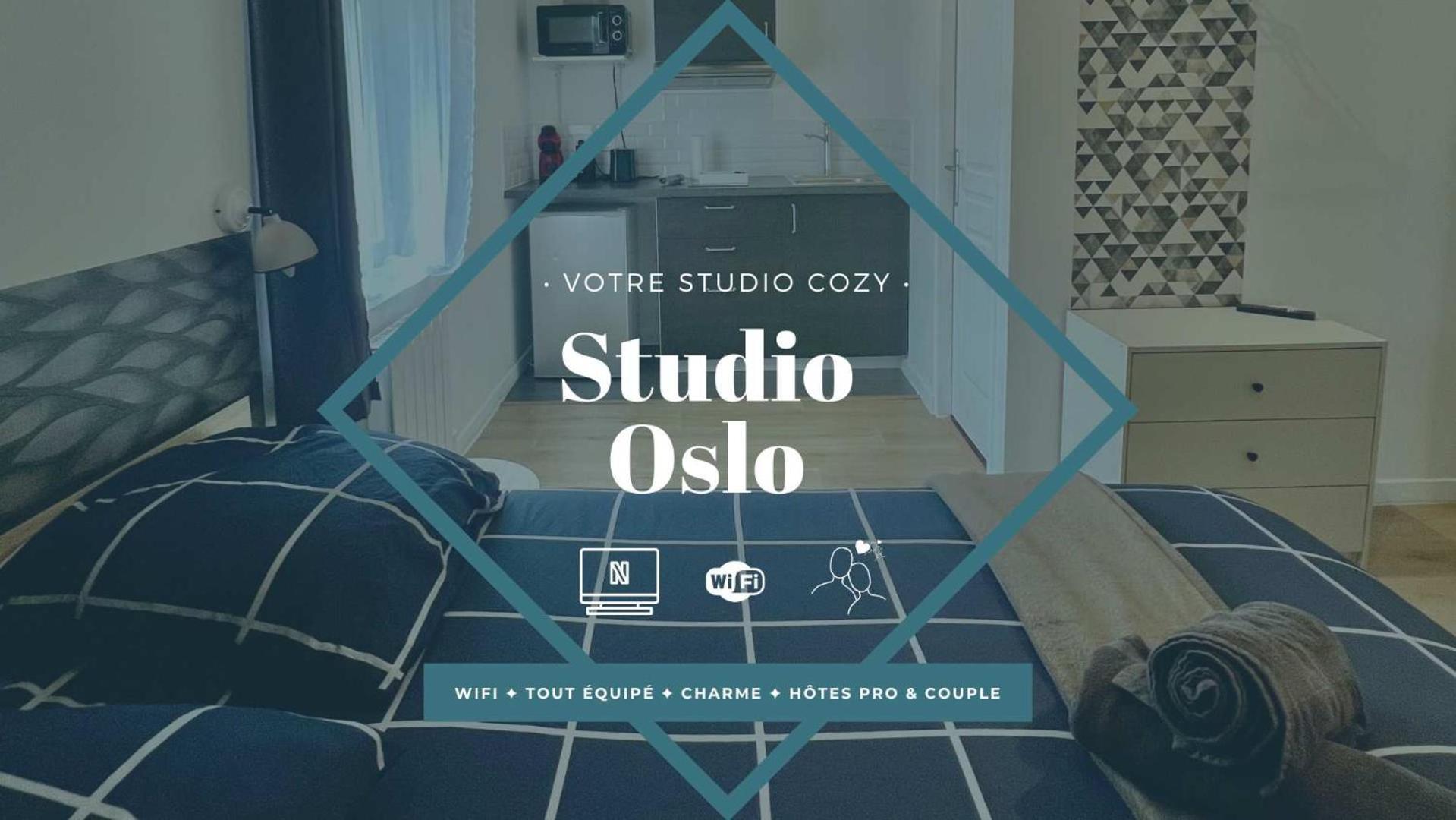 Izicozy Studios Châtellerault Zewnętrze zdjęcie